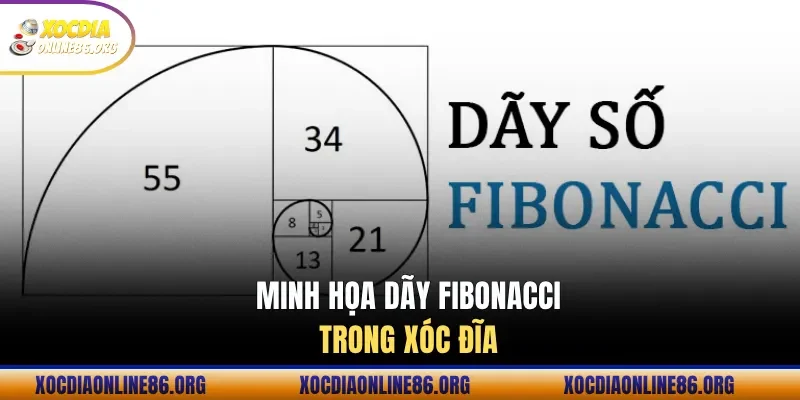 minh hoa day fibonacci trong xoc dia Minh họa dãy Fibonacci trong xóc đĩa